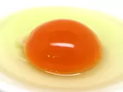 蘭王卵たまご(1)