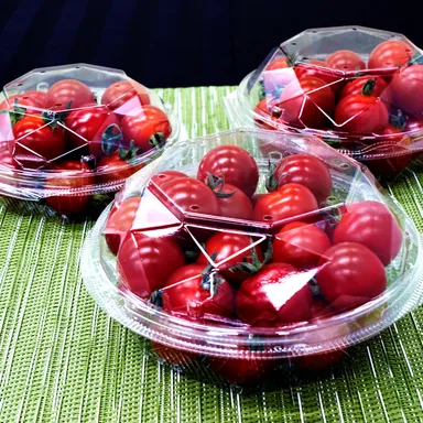 ミニトマト(VFH)