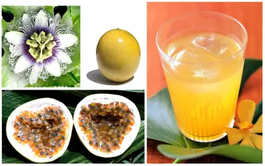 花と実とジュース