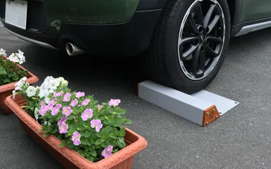 ガーデニングやラティスとの相性も抜群