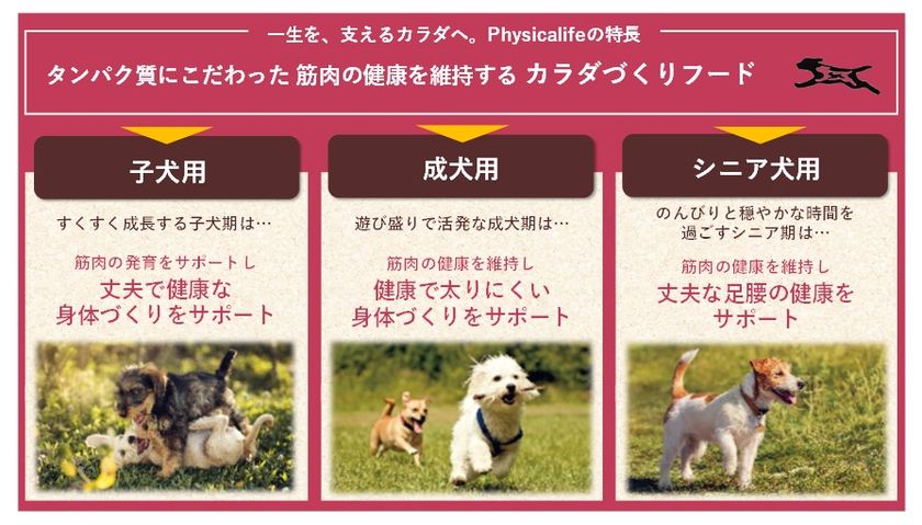 愛犬 愛猫の食事もタンパク質の意識を 筋肉の健康を維持するカラダづくりフード Physicalife フィジカライフ 新登場 ユニ チャーム株式会社のプレスリリース 愛犬 愛猫の食事もタンパク質の意識を 筋肉の健康を維持するカラダづくりフード Physicalife フィジカライフ 新登場 ユニ チャーム株式会社のプレスリリース