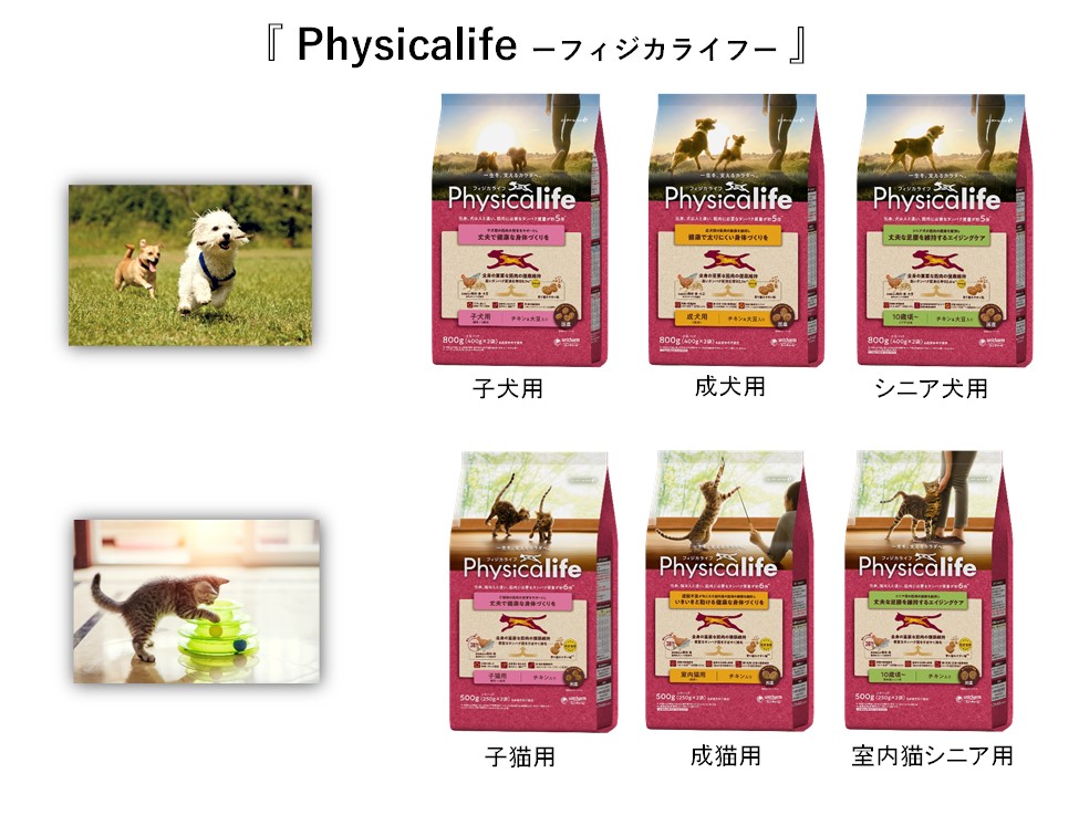 ドラえもん限定デザインの ウェーブ 登場 21年6月23日より全国で限定発売 今年の夏は親子で楽しくお掃除 ユニ チャーム株式会社のプレスリリース ドラえもん限定デザインの ウェーブ 登場 21年6月23日より全国で限定発売 今年の夏は親子で楽しくお掃除 ユニ チャーム株式会社のプレスリリース