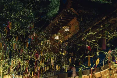 七夕笹飾りライトアップ　社殿アップ