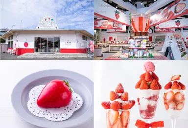 道の駅伊豆のへそ　いちごBonBonBERRY 伊豆の国factory