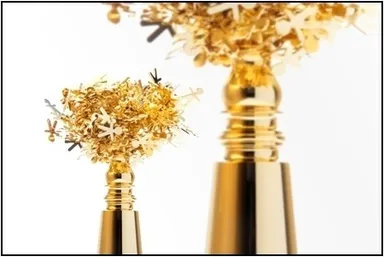 人をひきつけるトロフィー