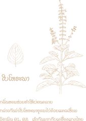 ホラパーイラスト　タイ語入り