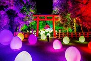 下鴨神社 糺の森の光の祭 Art by teamLab TOKIO インカラミ 1