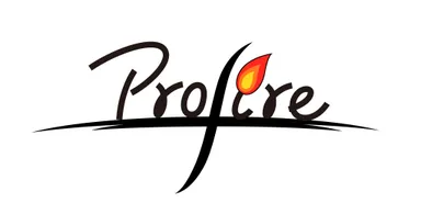 株式会社プロファイア