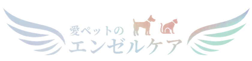 愛ペットセレモニー尼崎が「エンゼルケア」の提供を開始　
家族揃ってのお見送りを実現するペットの遺体安置サービス