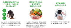 安全基準