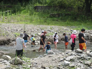 魚のつかみどり体験　イメージ