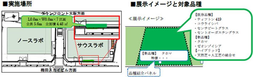 「うめきた外庭SQUARE」サウスラボにおいて
芝生植栽の実証実験を行います