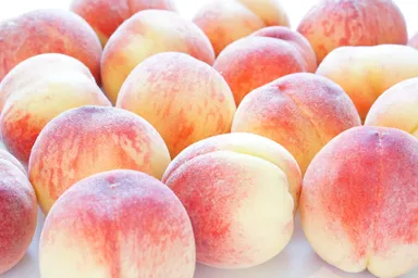 フルヤ農園のこだわりの桃