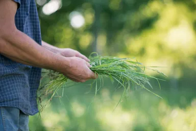 ニュージーランドの自然1