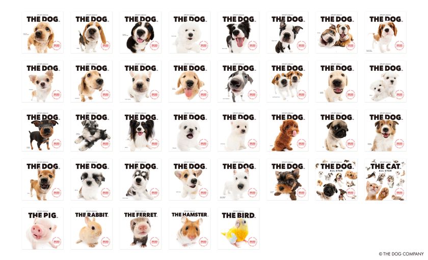 ■新品未使用■THE DOG■ザ・ドッグ■Dogs集合■ポータブル温冷蔵庫 THE DOG™ by meet my goods」がオープン！ | THE DOG（ザ