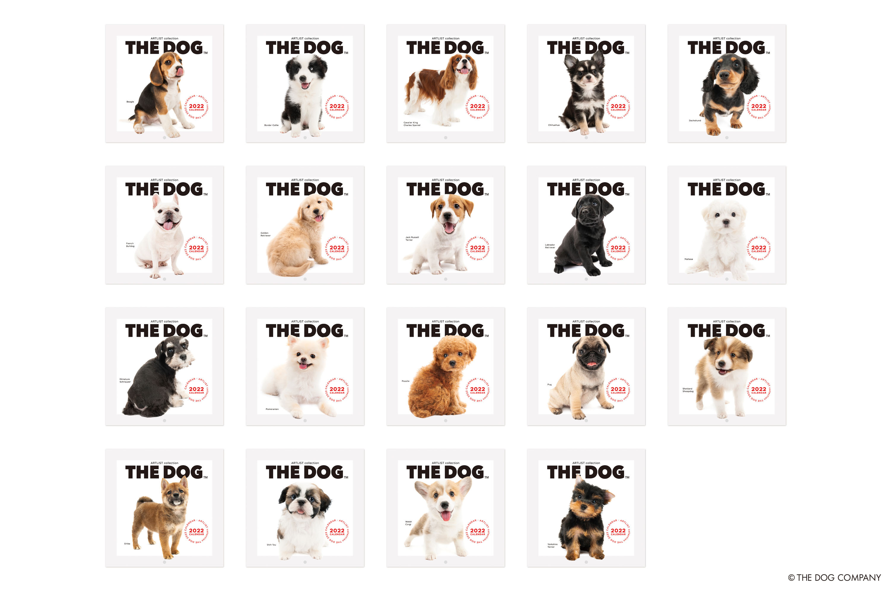 THE DOG」2022年犬種別カレンダー予約受付開始 売上の一部を動物愛護団体へ寄付し、コロナ禍で急増するペット飼育放棄問題の改善に貢献｜株式会社THE  DOG COMPANYのプレスリリース
