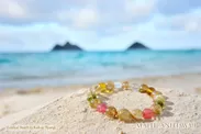 「全米で最も美しいビーチ」に選ばれたラニカイビーチでの撮影