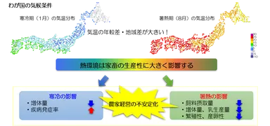 家畜に及ぼす熱環境の影響