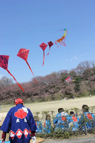 大学生の手作りの30連凧も空へと上がりました。