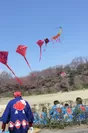 大学生の手作りの30連凧も空へと上がりました。