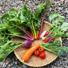 栃木県上三川町　おかわり農園(1)