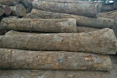 樽熟成ボトルイメージ8