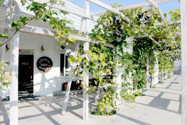 白百合醸造株式会社