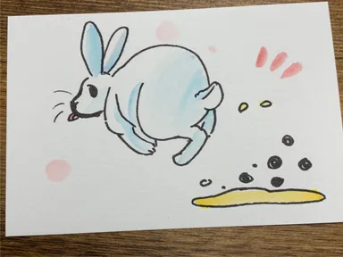 動育使用アイテム