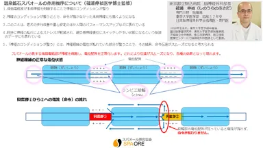 スパオール メカニズム