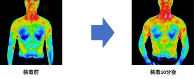スパオール装着時の上半身の温度変化