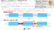 スパオール メカニズム