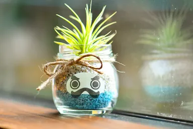 瓶のコレクション