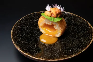 TKGアランチーニ