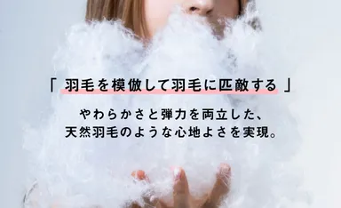 サステナブルFP730エアーフレイク