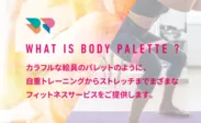 WHAT IS BODY PALETTE ?