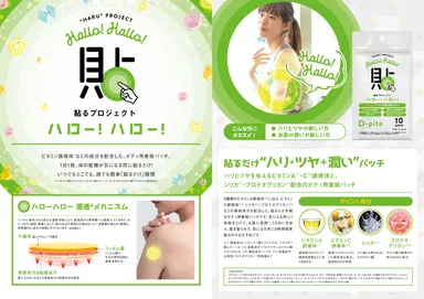 ハロー！ハロー！D-pita パンフレット1