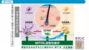 ネイチャーラボとの新協業：MITOL × ブラックリバースペプチド1の研究成果　講演スライド