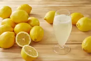 『レモンソーダ』イメージ