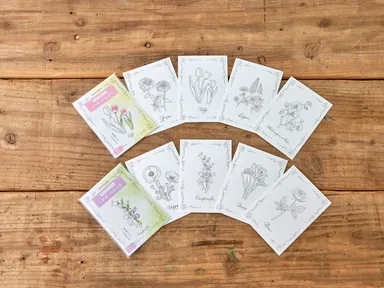 塗り絵ポストカード_日比谷花壇