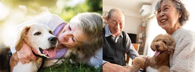 Matching Pet／マッチングペット7