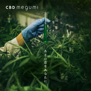 あさの恵をあなたに