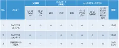 DeCYFIR活用支援サービス
