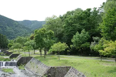 大津谷公園キャンプ場 1
