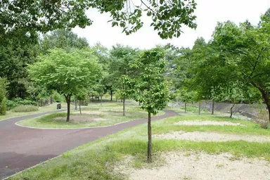 大津谷公園キャンプ場 3