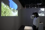 トンボの色覚を VR で体験する様子