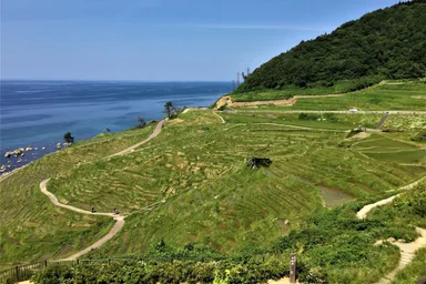 能登の里山里海 白米千枚田