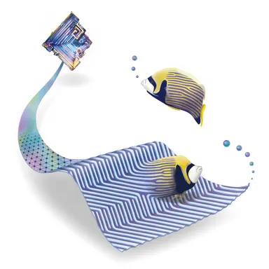 熱帯魚とビスマスの繋がりを発見