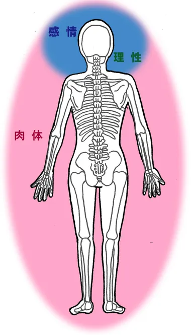 肉体のリズム(身体)を整えることによって感情・理性のリズムのサイクルが整う
