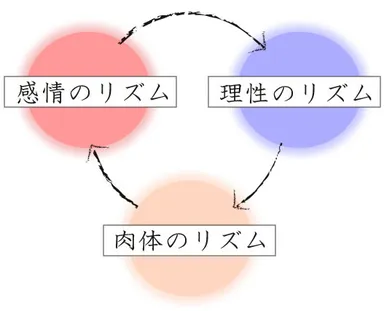 肉体・感情・理性のサイクル