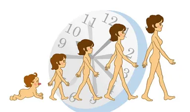 生まれたときから常に刻み続けている生体リズム